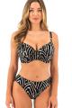 Fantasie Swim - Silhouette Island Bikini Rio Slip