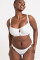 Curvy Kate - Flora Brasilianischer String