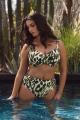 Fantasie Swim - Cabo Verde Bikini-BH G-K Cup