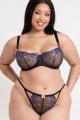 Curvy Kate - Strawberry Crush Balconette-BH G-K Cup