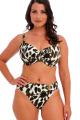 Fantasie Swim - Cabo Verde Bikini-BH G-K Cup