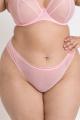 Curvy Kate - Lifestyle String