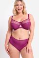 Curvy Kate - Victory BH G-L Cup